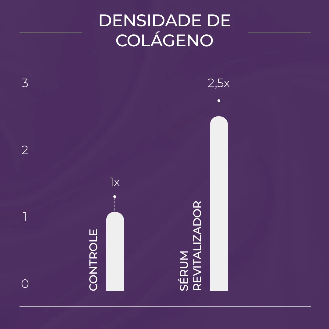 Imagem do produto 12